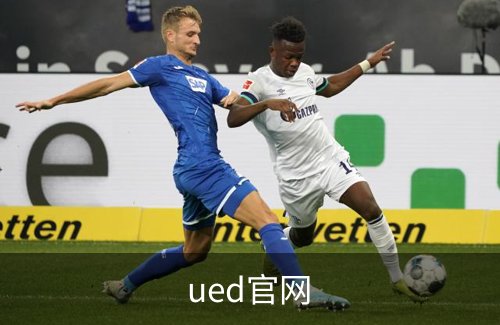 ued官网概况